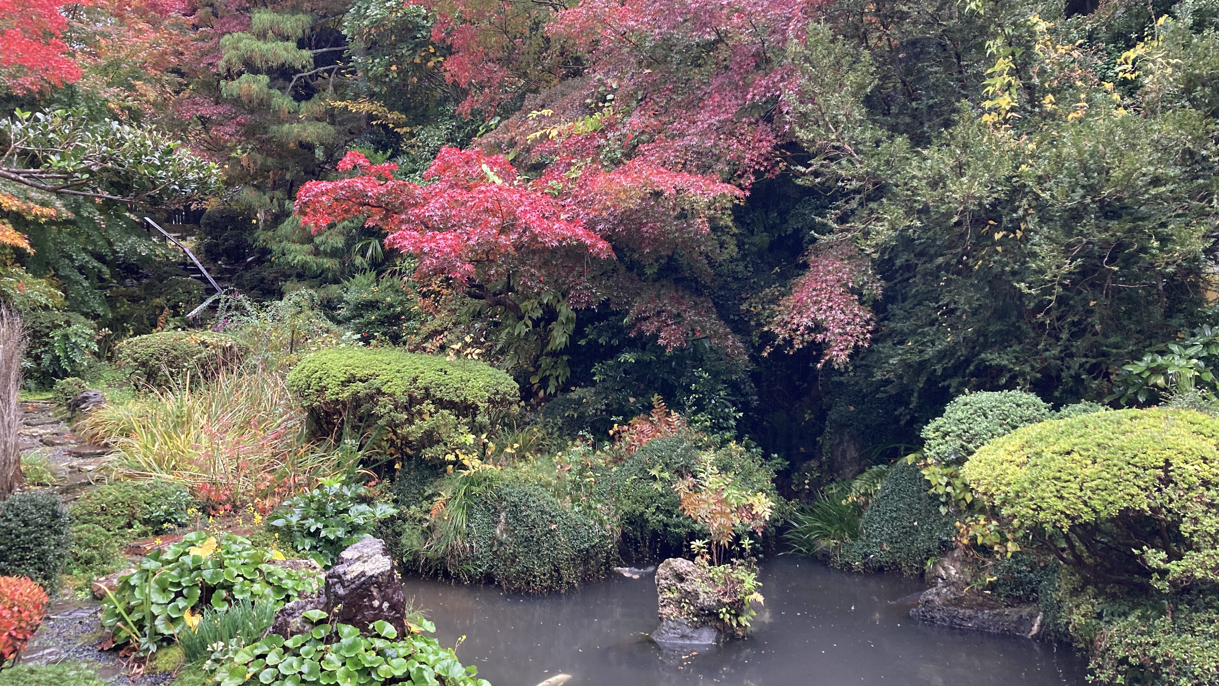 秋から冬へと